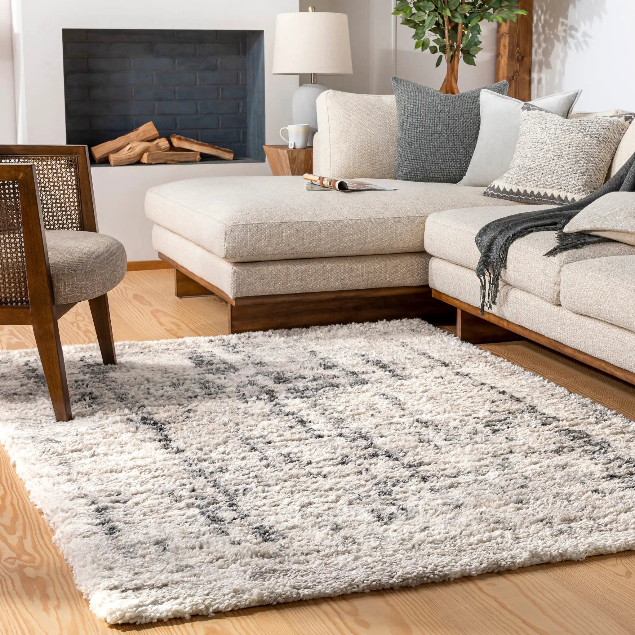 Eskimo Shag ESG-2306 Light-Beige Area Rug by LIVABLISS