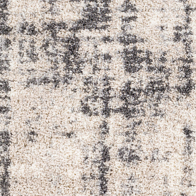 Surya Eskimo Shag ESG-2306 Light Beige Area Rug by LIVABLISS
