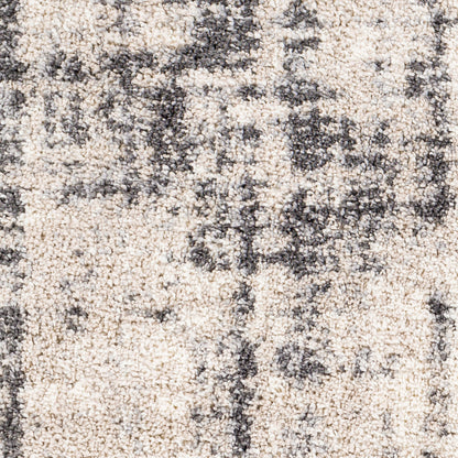 Surya Eskimo Shag ESG-2306 Light Beige Area Rug by LIVABLISS