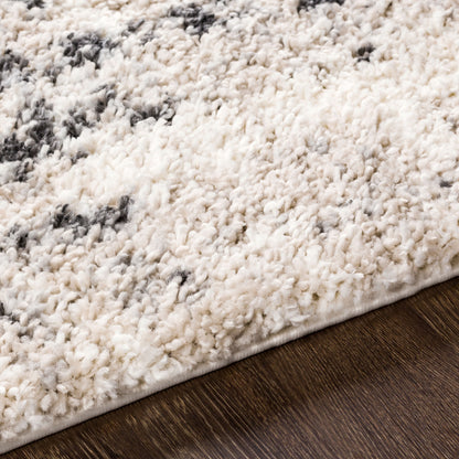 Surya Eskimo Shag ESG-2306 Light Beige Area Rug by LIVABLISS