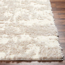 Surya Everton Plus EVP-2300 Ivory Area Rug by LIVABLISS