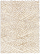 LIVABLISS Everton Plus EVP-2306 Area Rug