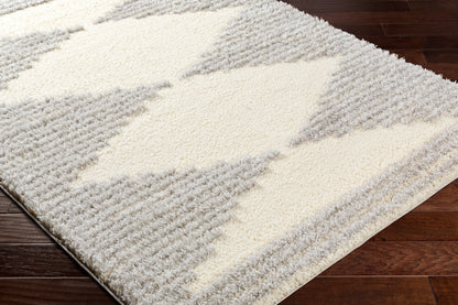 LIVABLISS Everton Plus EVP-2307 Area Rug