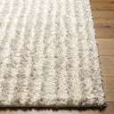 Surya Everton Plus EVP-2309 Ivory Area Rug by LIVABLISS