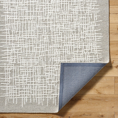 Surya Falcao FAC-2300 Taupe Area Rug by LIVABLISS
