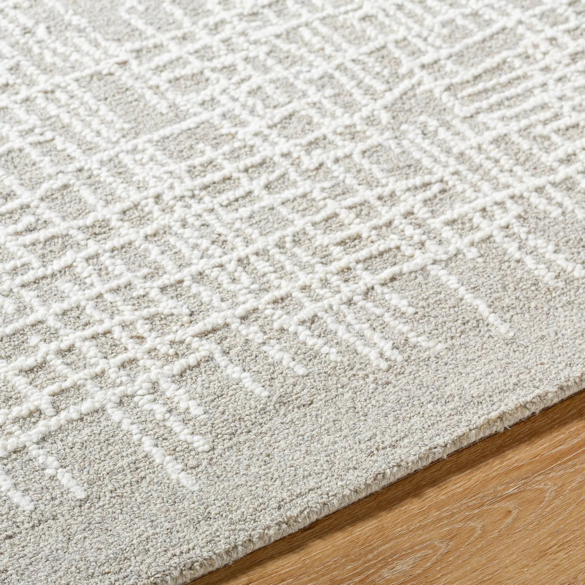 Falcao FAC-2300 Taupe Area Rug by LIVABLISS