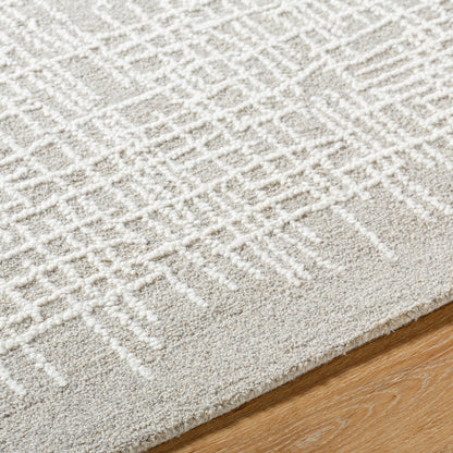 Surya Falcao FAC-2300 Taupe Area Rug by LIVABLISS