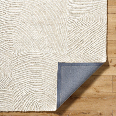 Surya Falcao FAC-2301 Ivory Area Rug by LIVABLISS