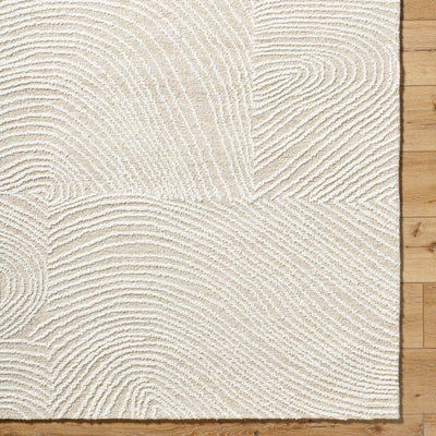 Surya Falcao FAC-2301 Ivory Area Rug by LIVABLISS