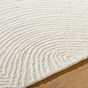Surya Falcao FAC-2301 Ivory Area Rug by LIVABLISS