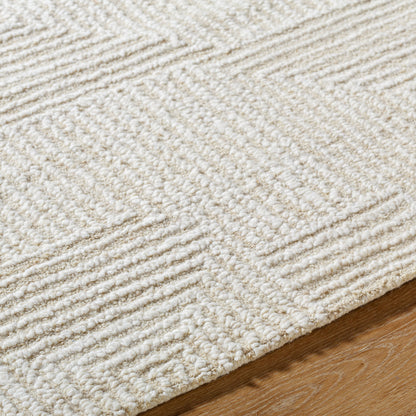 Surya Falcao FAC-2304 Ivory Area Rug by LIVABLISS