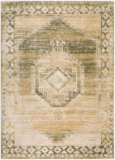 LIVABLISS Fifth Avenue FIF-2308 Light-Gray Area Rug