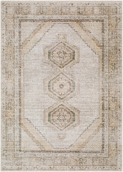 LIVABLISS Fifth Avenue FIF-2321 Medium-Brown Area Rug