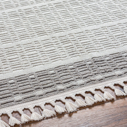Surya Finland FND-2300 Cream Area Rug by LIVABLISS