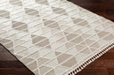 Surya Finland FND-2301 Cream Area Rug by LIVABLISS