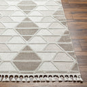 Surya Finland FND-2301 Cream Area Rug by LIVABLISS