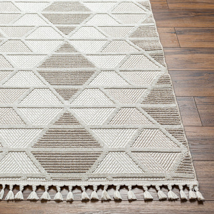 Surya Finland FND-2301 Cream Area Rug by LIVABLISS