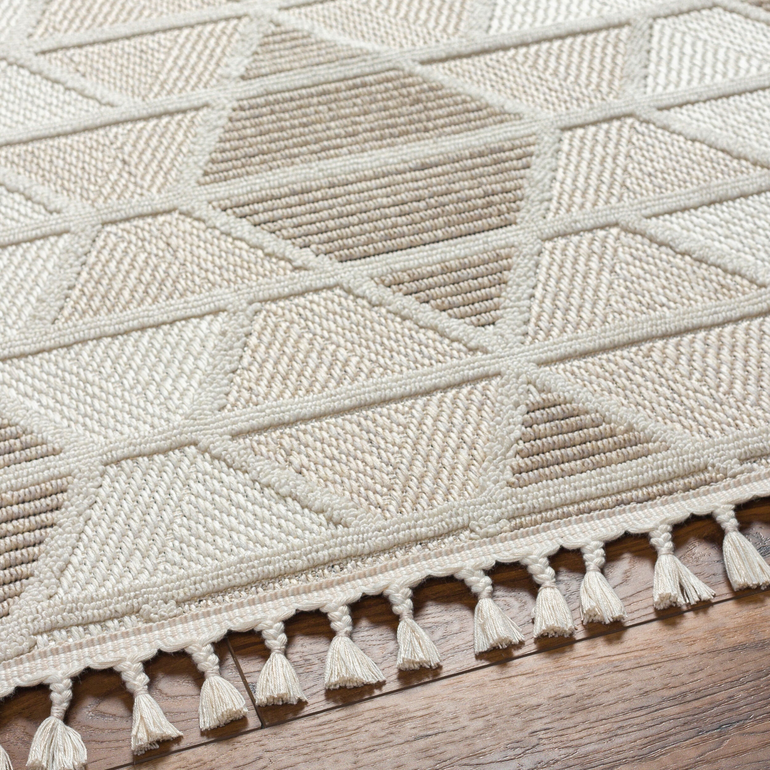 Surya Finland FND-2301 Cream Area Rug by LIVABLISS