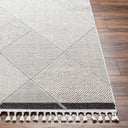 Surya Finland FND-2303 Cream Area Rug by LIVABLISS