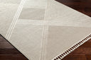 Surya Finland FND-2304 Off-White Area Rug by LIVABLISS