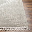 Surya Finland FND-2304 Off-White Area Rug by LIVABLISS