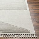 Surya Finland FND-2306 Cream Area Rug by LIVABLISS