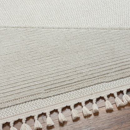 Surya Finland FND-2306 Cream Area Rug by LIVABLISS