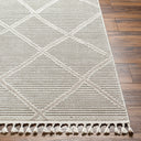 Surya Finland FND-2309 Cream Area Rug by LIVABLISS