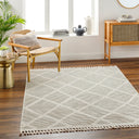 Surya Finland FND-2309 Cream Area Rug by LIVABLISS