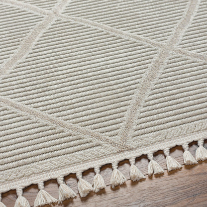 Surya Finland FND-2309 Cream Area Rug by LIVABLISS