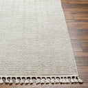 Surya Finland FND-2310 Cream Area Rug by LIVABLISS