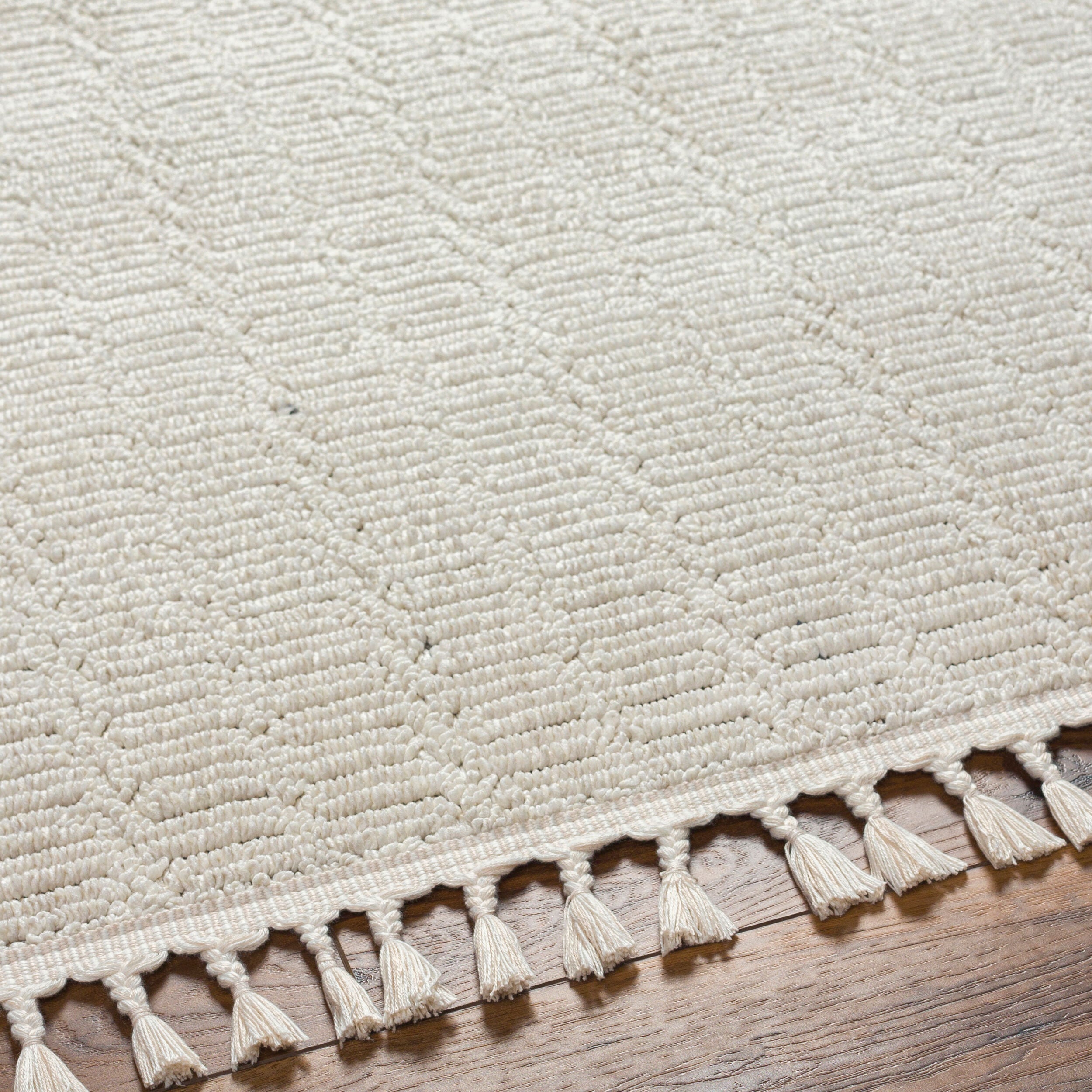 Surya Finland FND-2310 Cream Area Rug by LIVABLISS