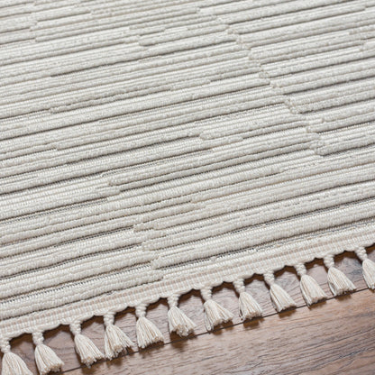 Surya Finland FND-2311 Cream Area Rug by LIVABLISS
