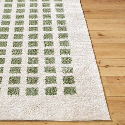 LIVABLISS Fossay Shag FSG-2320 Light-Beige Area Rug