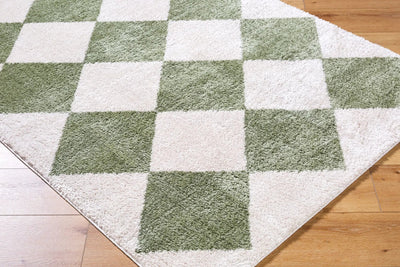 LIVABLISS Fossay Shag FSG-2325 Light-Beige Area Rug