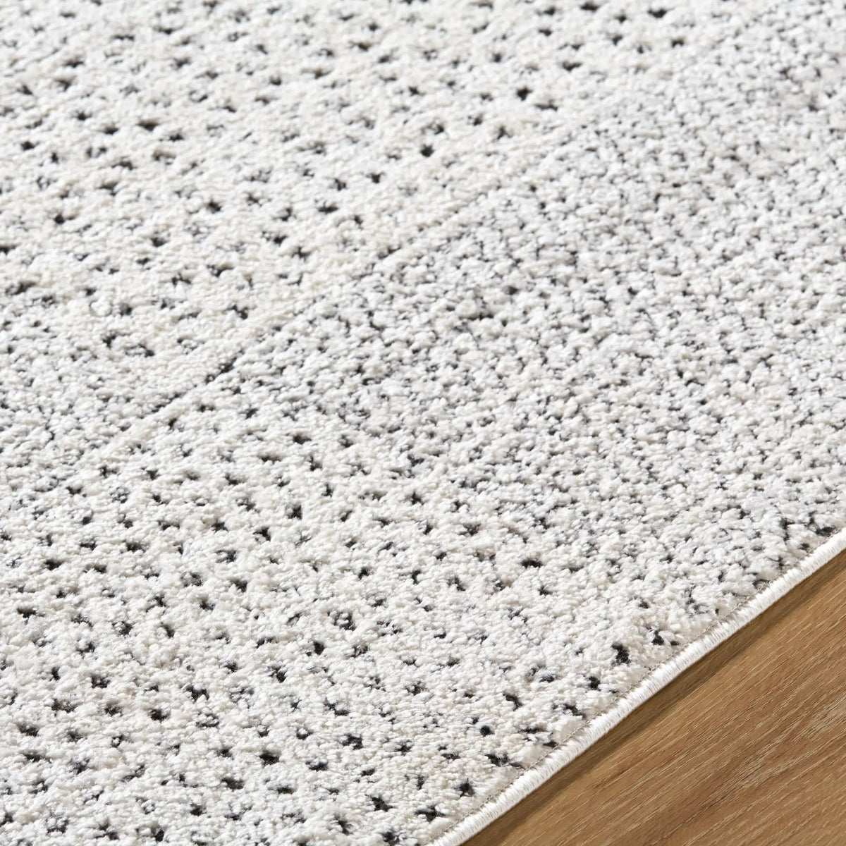 Architect GAAR-2302 Ivory / Black Area Rug by Galey Alix x LIVABLISS