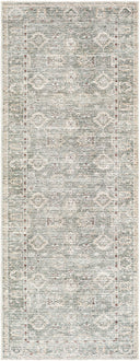 Galey Alix x Livabliss Collins Avenue GACA-2300 Dusty Sage Area Rug