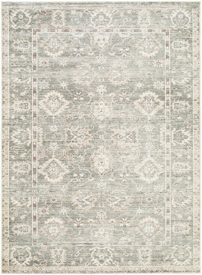 Collins Avenue GACA-2300 Dusty Sage Area Rug by Galey Alix x LIVABLISS