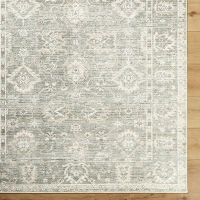 Collins Avenue GACA-2300 Dusty Sage Area Rug by Galey Alix x LIVABLISS