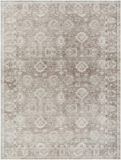 Galey Alix x Livabliss Collins Avenue GACA-2301 Brown Area Rug