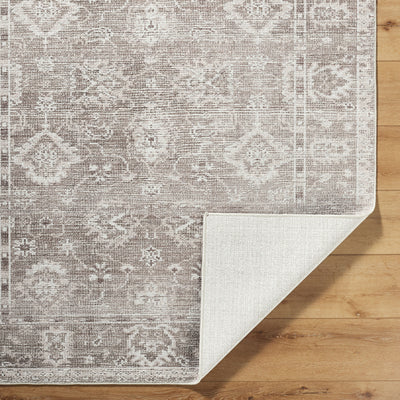 Galey Alix x Livabliss Collins Avenue GACA-2301 Brown Area Rug