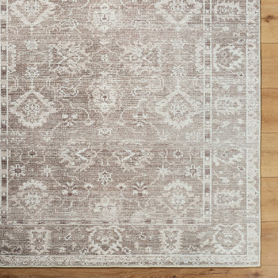 Galey Alix x Livabliss Collins Avenue GACA-2301 Brown Area Rug