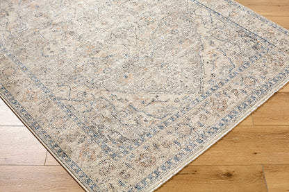 Galey Alix x LIVABLISS Maria Elena GADA-2300 Taupe Area Rug  