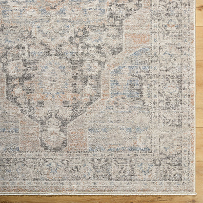 Galey Alix x LIVABLISS Maria Elena GADA-2303 Dark Brown Area Rug 