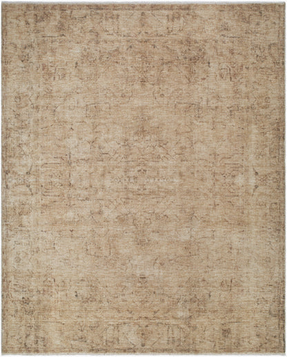 Galey Alix x Livabliss Fetscher GAHU-2300 Light Beige Area Rug