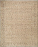 Galey Alix x Livabliss Fetscher GAHU-2304 Brown Area Rug