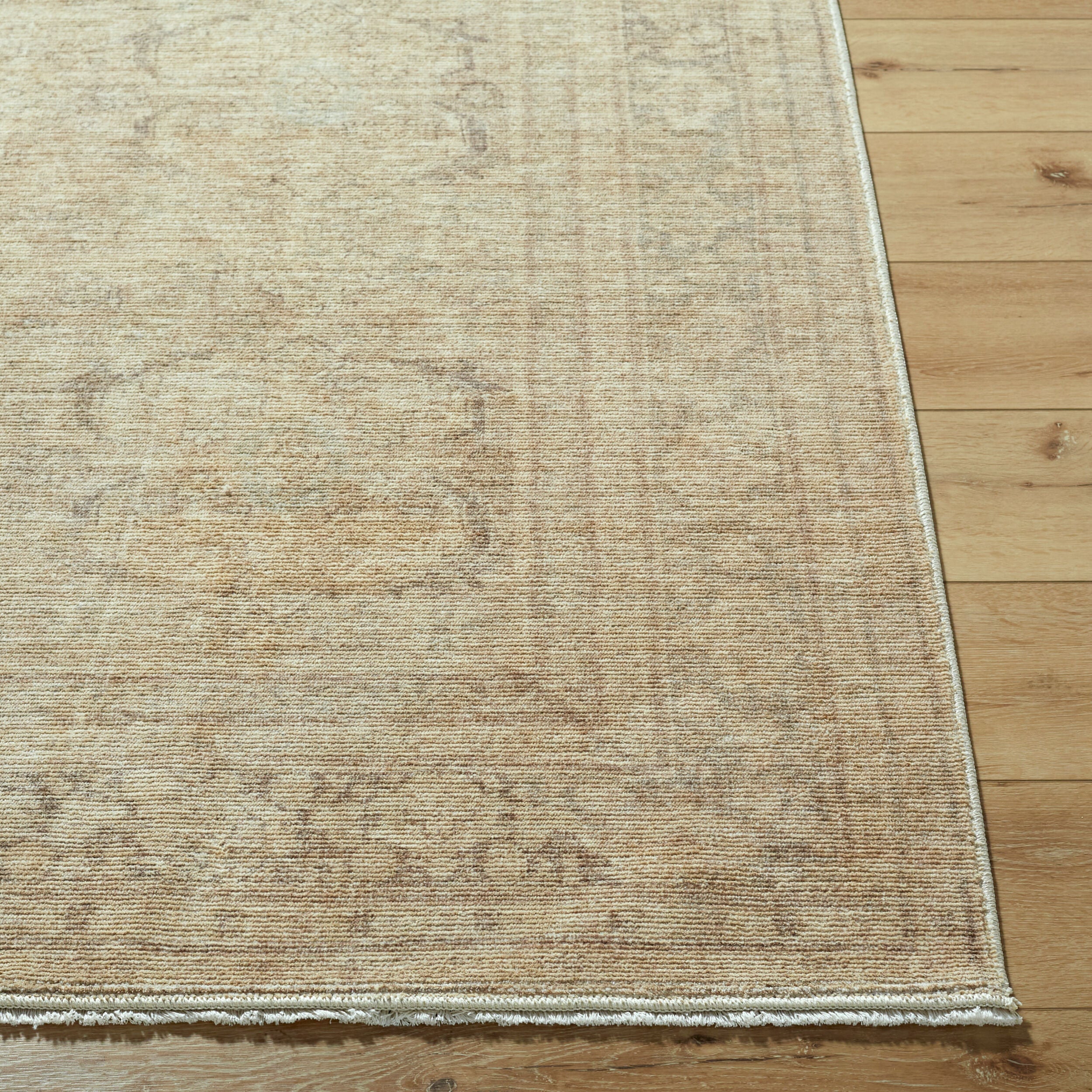 Galey Alix x Livabliss Fetscher GAHU-2304 Brown Area Rug