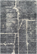Galey Alix by Livabliss Janek GAJA-2302 Ash Gray Area Rug