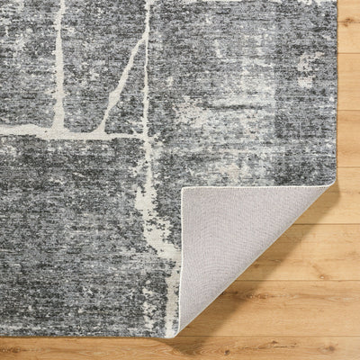Galey Alix by Livabliss Janek GAJA-2302 Ash Gray Area Rug