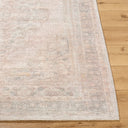 Galey Alix by Livabliss Luciana GALU-2300 Dusty Rose Area Rug